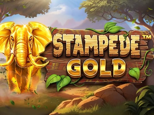 Stampede Gold thumbnail